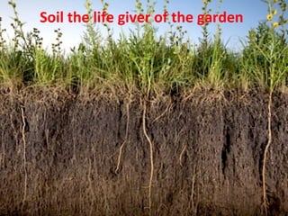 Soil the life giver of the garden
 