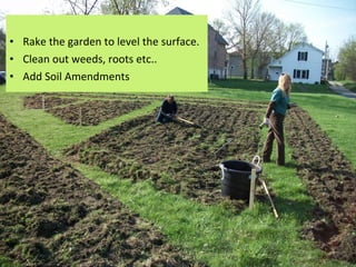• Rake the garden to level the surface.
• Clean out weeds, roots etc..
• Add Soil Amendments
 