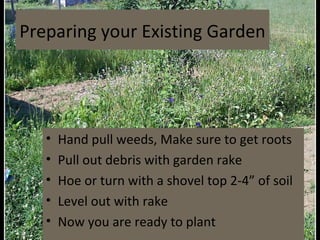 Preparing your Existing Garden




   •   Hand pull weeds, Make sure to get roots
   •   Pull out debris with garden rake
   •   Hoe or turn with a shovel top 2-4” of soil
   •   Level out with rake
   •   Now you are ready to plant
 