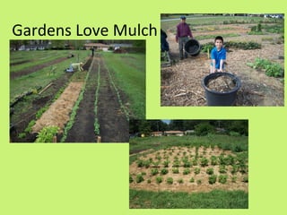 Gardens Love Mulch
 