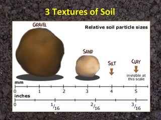 3 Textures of Soil
 