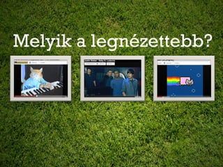 Melyik a legnézettebb?
 