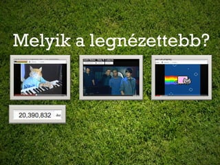 Melyik a legnézettebb?
 