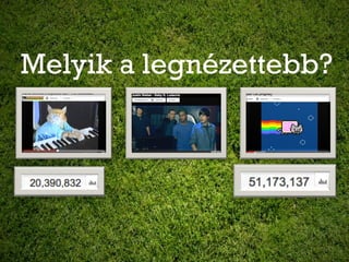 Melyik a legnézettebb?
 