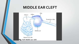 MIDDLE EAR CLEFT
 