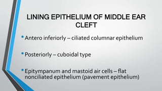 LINING EPITHELIUM OF MIDDLE EAR
CLEFT
•Antero inferiorly – ciliated columnar epithelium
•Posteriorly – cuboidal type
•Epitympanum and mastoid air cells – flat
nonciliated epithelium (pavement epithelium)
 