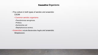 • Pus culture in both types of aerobic and anaerobic
CSOM
• Common aerobic organisms
-Pseudomonas aeruginosa,
-Proteus,
-Escherichia coli
-Staphylococcus aureus,
• Anaerobes include Bacteroides fragilis and anaerobic
Streptococci.
Causative Organisms
 
