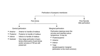 Comprehensive Overview of Chronic Suppurative Otitis Media: Anatomy ...