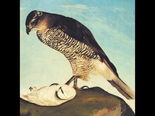 CSONTVÁRY KOSZTKA TIVADAR