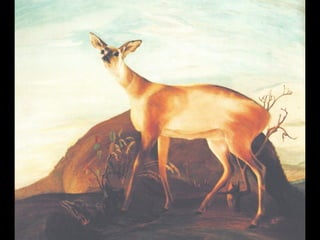 CSONTVÁRY KOSZTKA TIVADAR