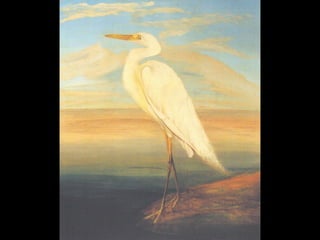 CSONTVÁRY KOSZTKA TIVADAR