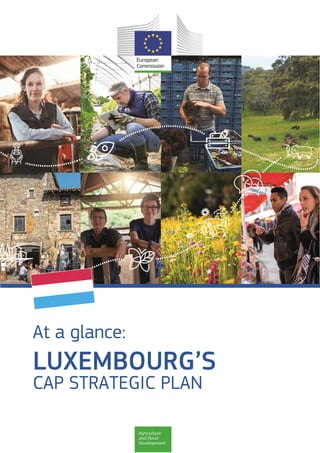 At a glance:
LUXEMBOURG’S
CAP STRATEGIC PLAN
 