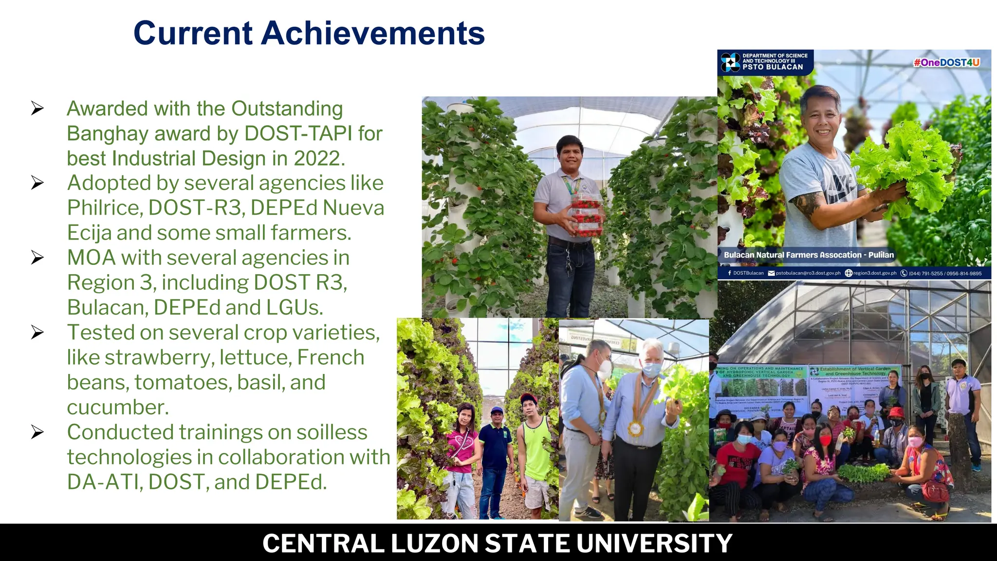 11
CENTRAL LUZON STATE UNIVERSITY
Current Achievements
➢ Awarded with the Outstanding
Banghay award by DOST-TAPI for
best Industrial Design in 2022.
➢ Adopted by several agencies like
Philrice, DOST-R3, DEPEd Nueva
Ecija and some small farmers.
➢ MOA with several agencies in
Region 3, including DOST R3,
Bulacan, DEPEd and LGUs.
➢ Tested on several crop varieties,
like strawberry, lettuce, French
beans, tomatoes, basil, and
cucumber.
➢ Conducted trainings on soilless
technologies in collaboration with
DA-ATI, DOST, and DEPEd.
 