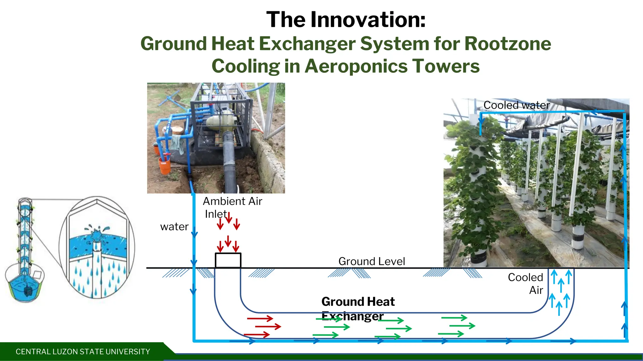 CENTRAL LUZON STATE UNIVERSITY
The Innovation:
Ground Heat Exchanger System for Rootzone
Cooling in Aeroponics Towers
Ambient Air
Inlet
Ground Heat
Exchanger
Cooled
Air
Ground Level
water
Cooled water
 