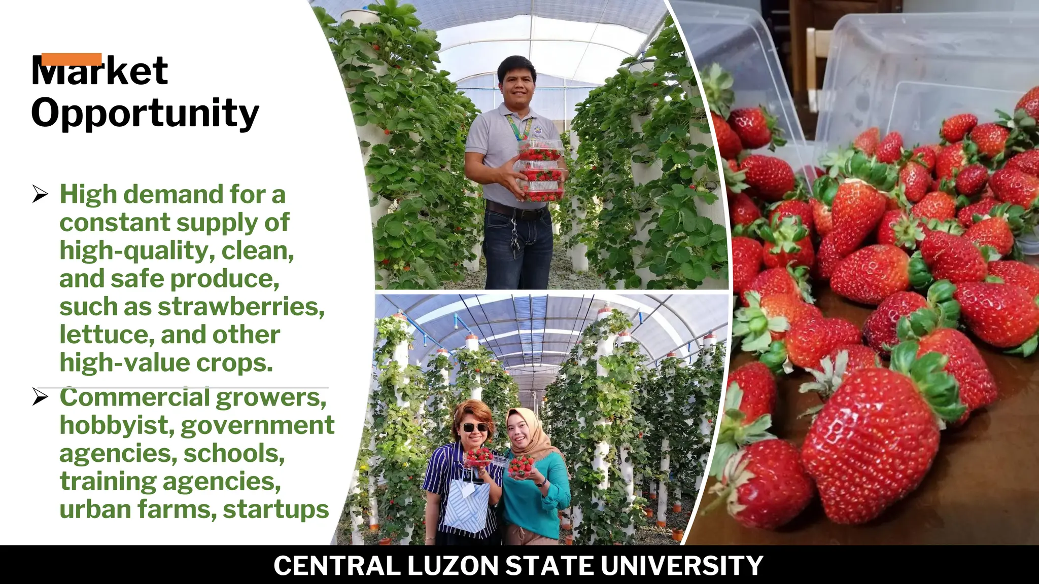Market
Opportunity
➢ High demand for a
constant supply of
high-quality, clean,
and safe produce,
such as strawberries,
lettuce, and other
high-value crops.
➢ Commercial growers,
hobbyist, government
agencies, schools,
training agencies,
urban farms, startups
8
CENTRAL LUZON STATE UNIVERSITY
 