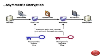 Comprehensive Overview of Cryptography and Encryption Techniques in ...
