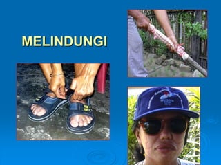 MELINDUNGI 
 