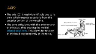 Cervical spine injuries | PPTX