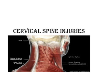 Cervical Spine Injuries

 