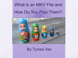 What is an MKV File and
How Do You Play Them?
By Tynisa Van
 