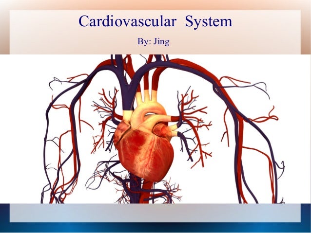 Cardiovascular system and three procedures