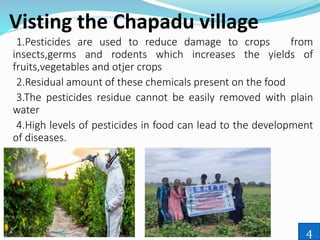 Visting the Chapadu village
1.Pesticides are used to reduce damage to crops from
insects,germs and rodents which increases the yields of
fruits,vegetables and otjer crops
2.Residual amount of these chemicals present on the food
3.The pesticides residue cannot be easily removed with plain
water
4.High levels of pesticides in food can lead to the development
of diseases.
4
 