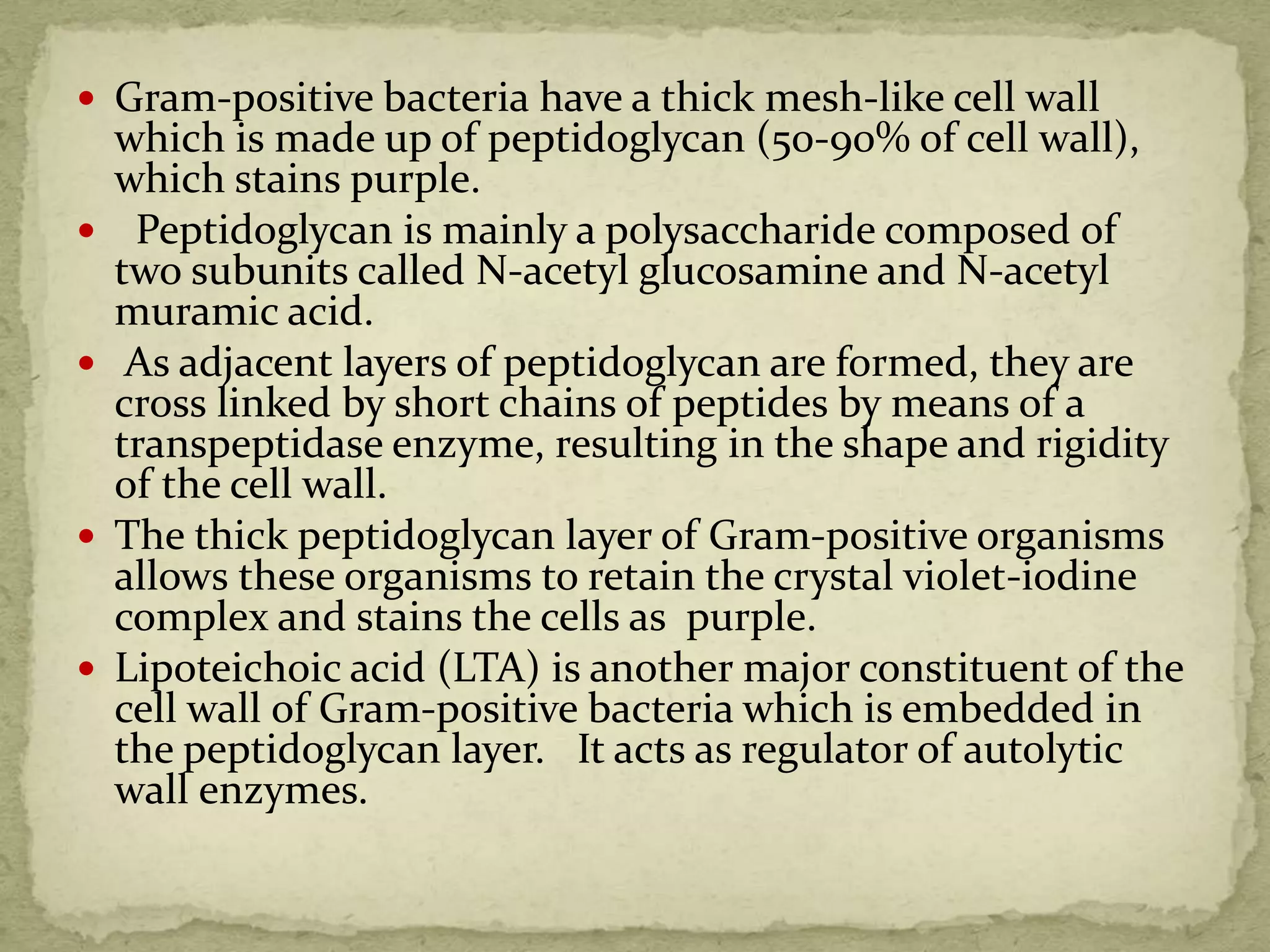  Gram-positive bacteria have a thick mesh-like cell wall
which is made up of peptidoglycan (50-90% of cell wall),
which stains purple.
 Peptidoglycan is mainly a polysaccharide composed of
two subunits called N-acetyl glucosamine and N-acetyl
muramic acid.
 As adjacent layers of peptidoglycan are formed, they are
cross linked by short chains of peptides by means of a
transpeptidase enzyme, resulting in the shape and rigidity
of the cell wall.
 The thick peptidoglycan layer of Gram-positive organisms
allows these organisms to retain the crystal violet-iodine
complex and stains the cells as purple.
 Lipoteichoic acid (LTA) is another major constituent of the
cell wall of Gram-positive bacteria which is embedded in
the peptidoglycan layer. It acts as regulator of autolytic
wall enzymes.
 