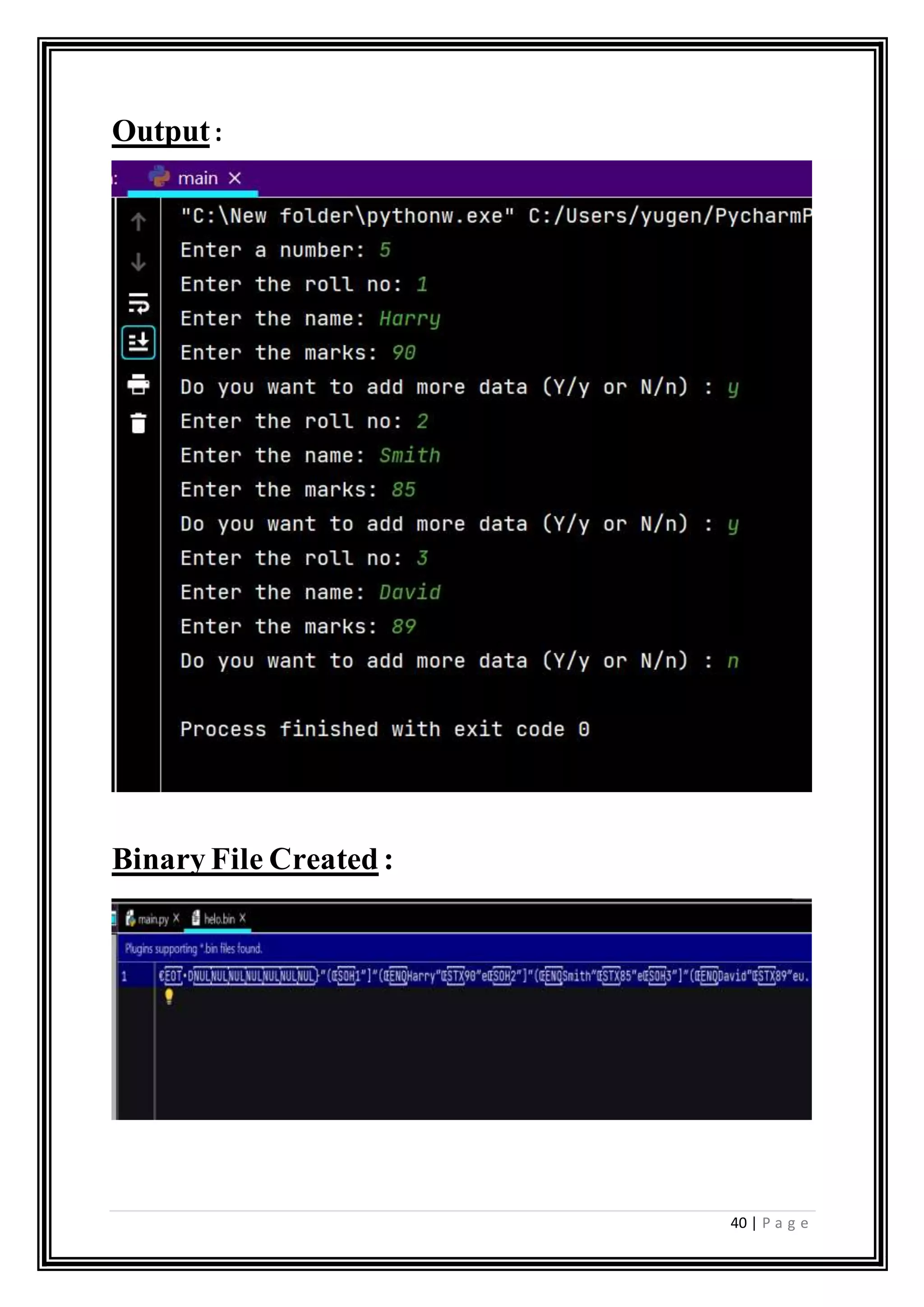 Computer Science Practical File class XII | DOCX | Programming ...