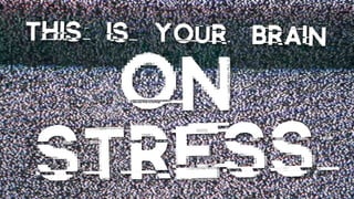 stress
This is your brain
on
 