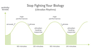 (Ultradian Rhythms)
Stop FightingYour Biology
 