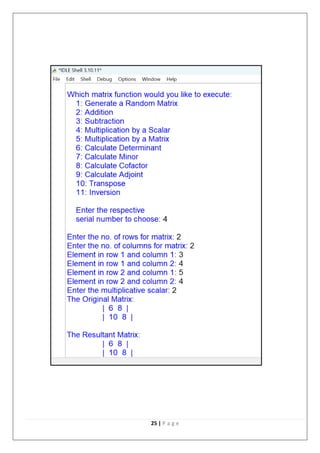 Computer Science CS Project Matrix CBSE Class 12th XII .pdf