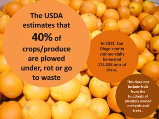 CropSwapSanDiego Food Recovery | PPT