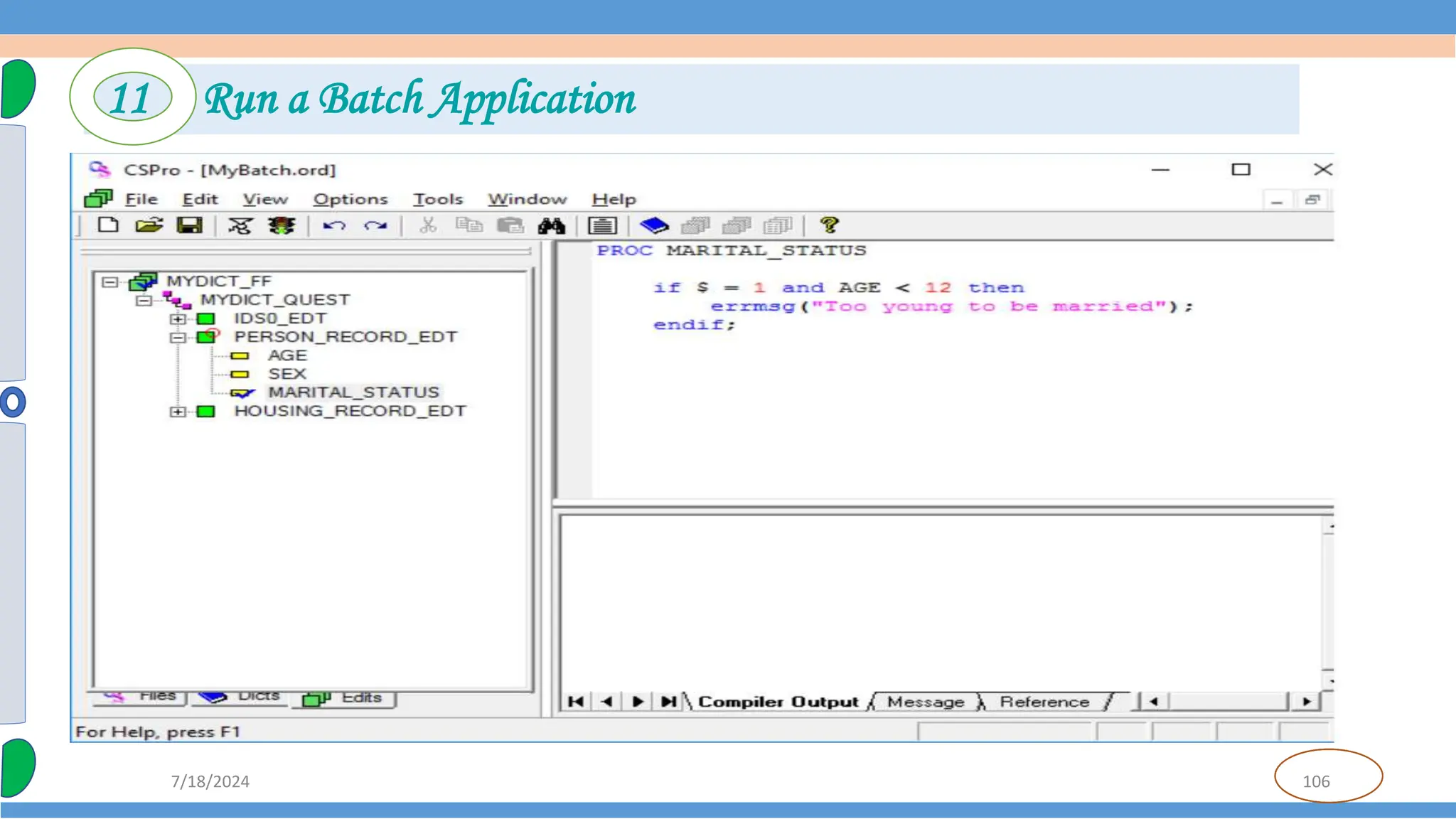 106
7/18/2024
11 Run a Batch Application
 