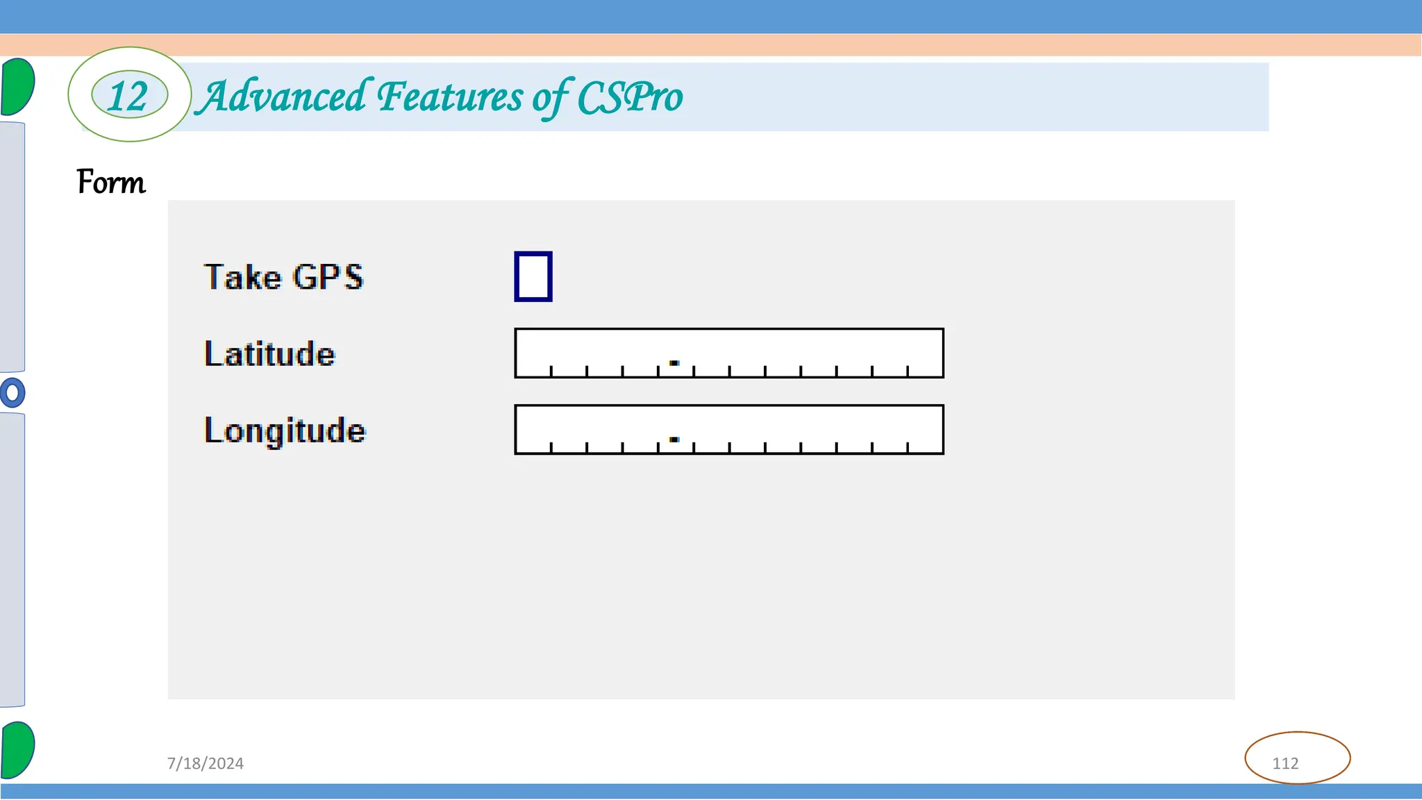 112
7/18/2024
Form
12 Advanced Features of CSPro
 