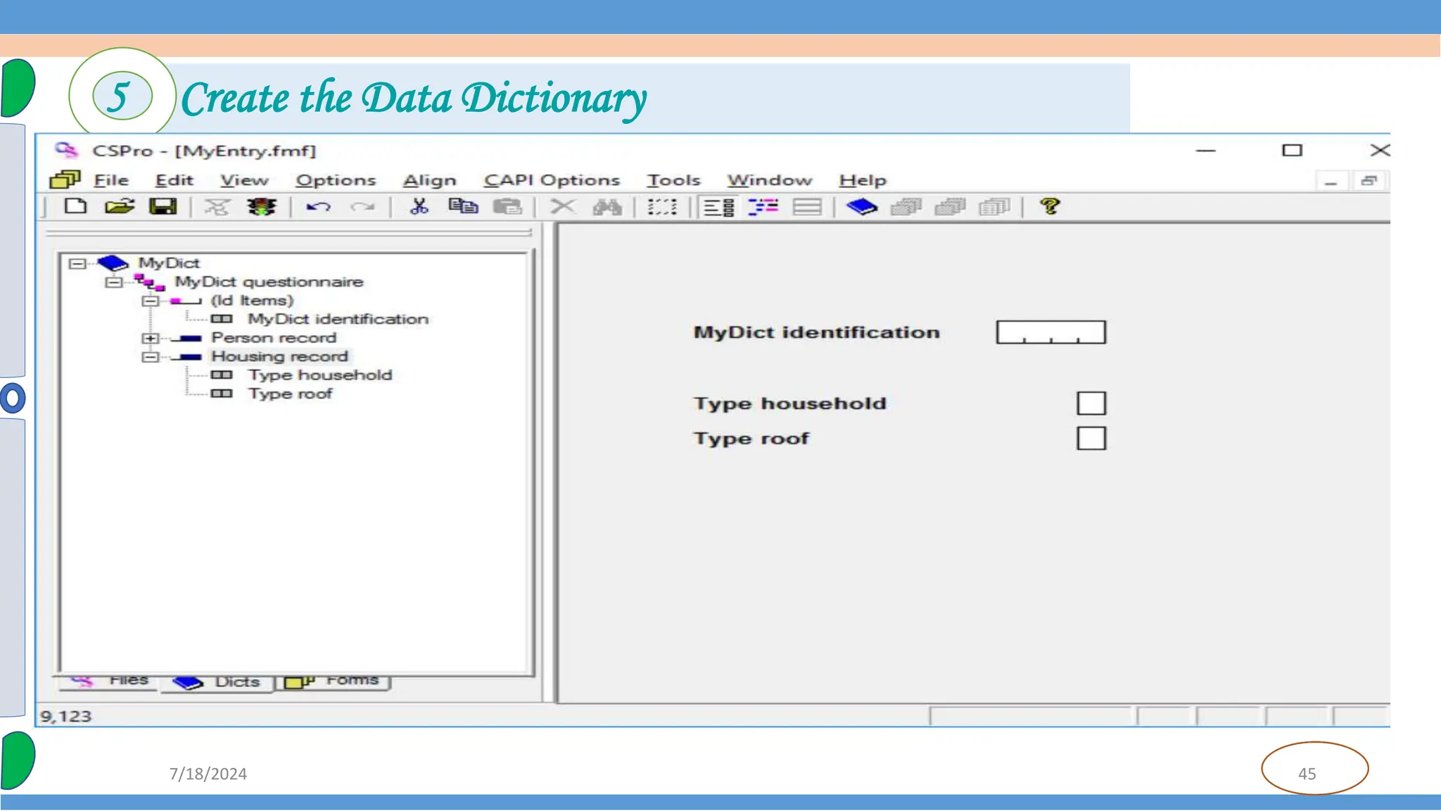 45
7/18/2024
5 Create the Data Dictionary
 