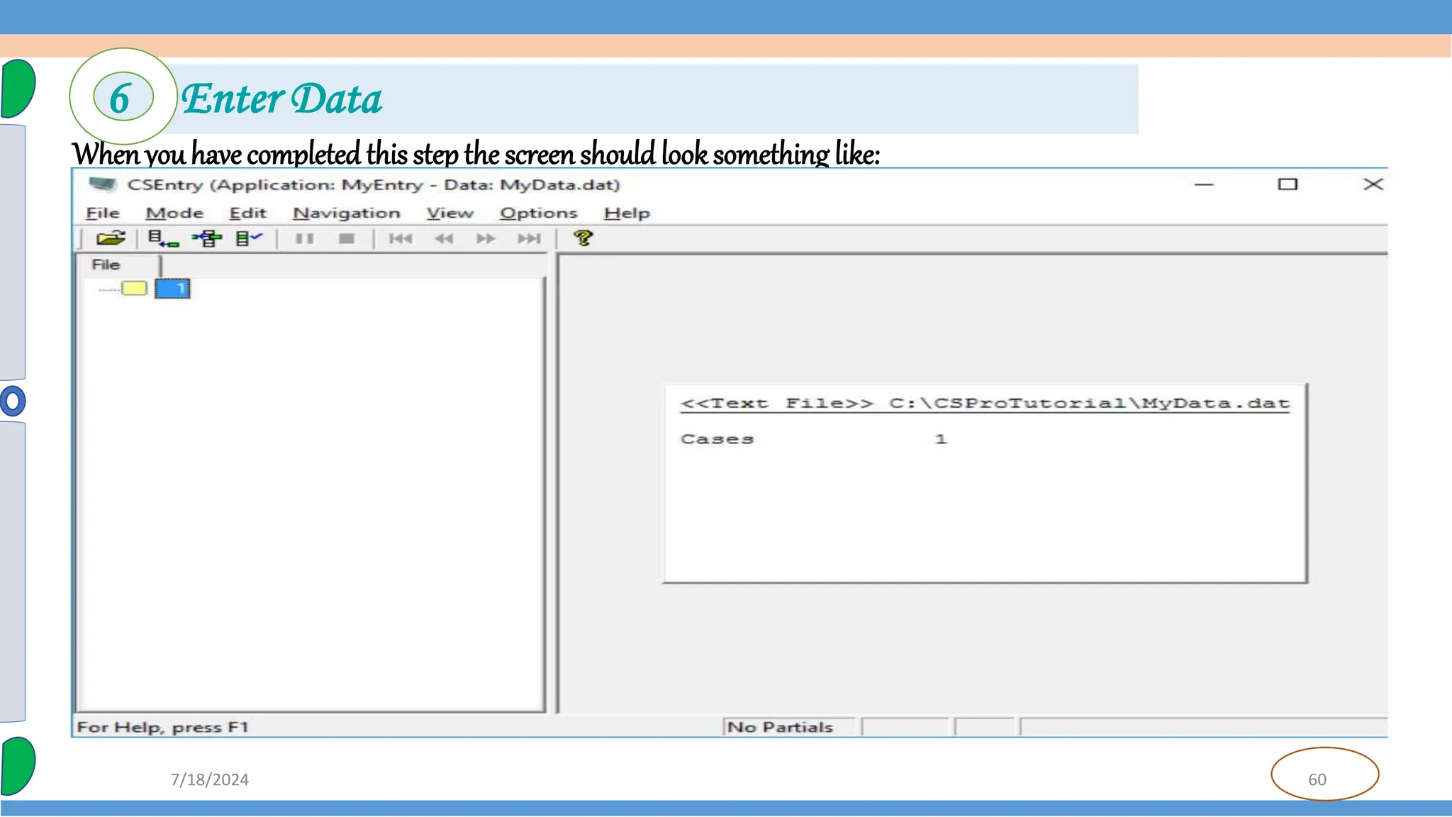 60
7/18/2024
Whenyouhavecompleted this stepthe screenshould looksomething like:
6 Enter Data
 
