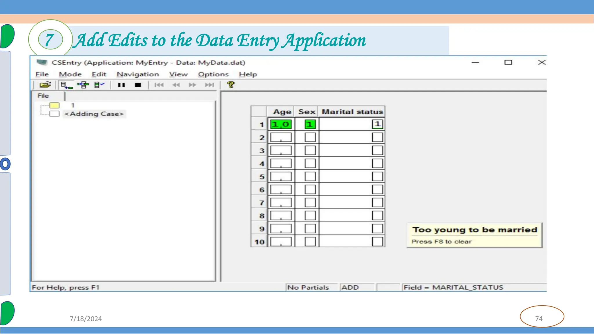 74
7/18/2024
7 Add Edits to the Data Entry Application
 