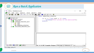 106
7/18/2024
11 Run a Batch Application
 
