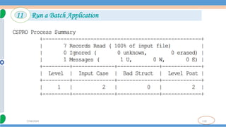 110
7/18/2024
11 Run a Batch Application
 