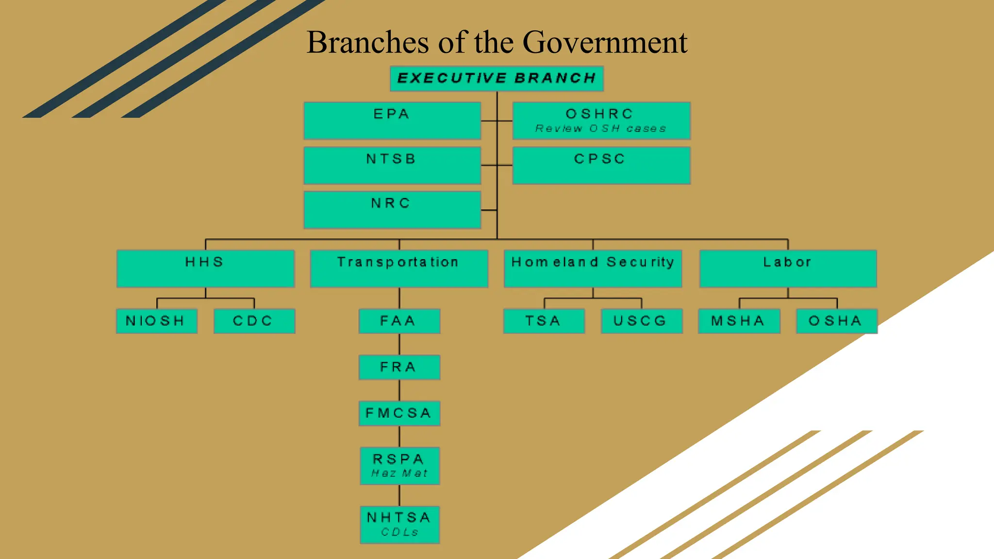 Branches of the Government
 