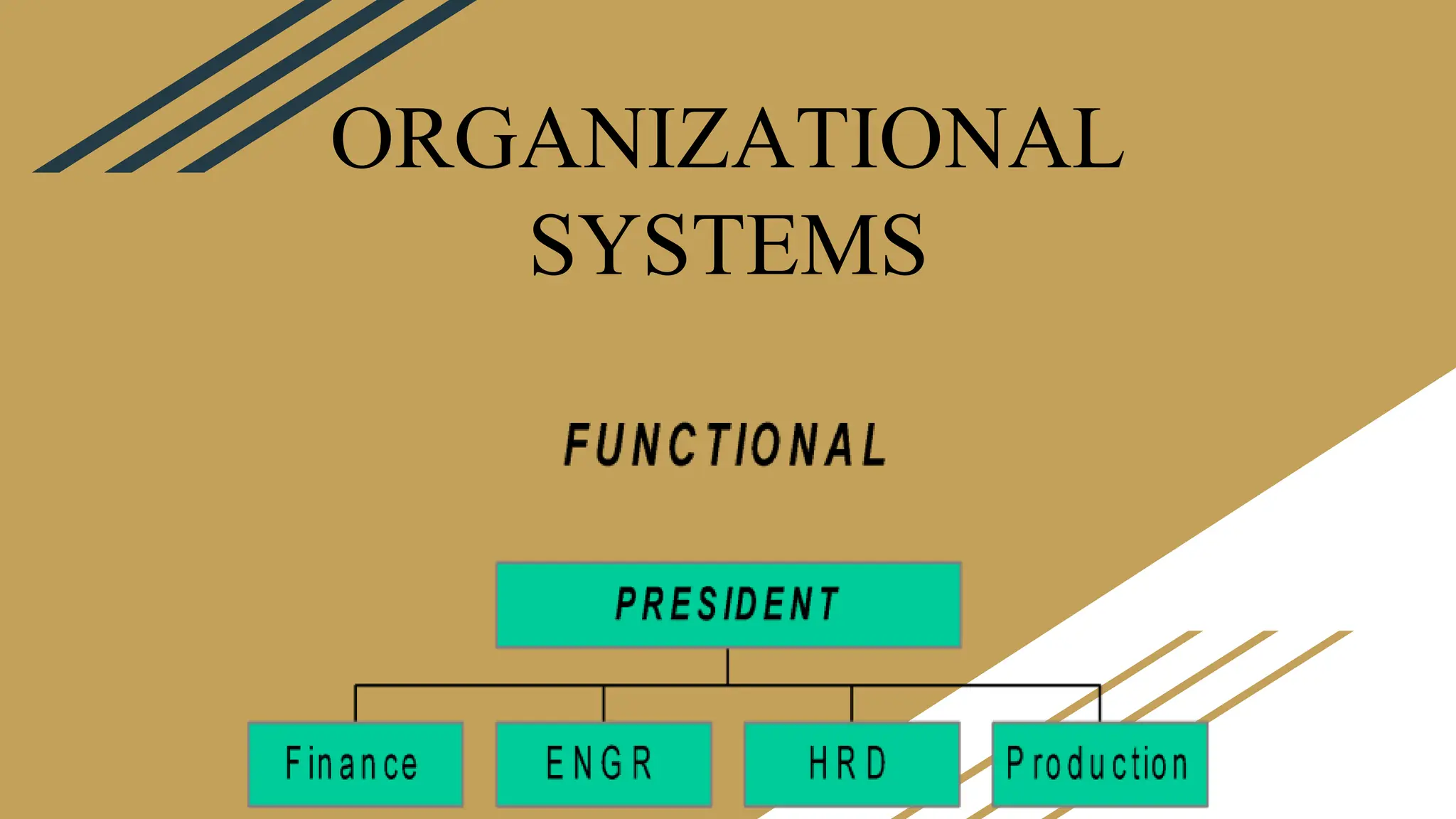 ORGANIZATIONAL
SYSTEMS
 