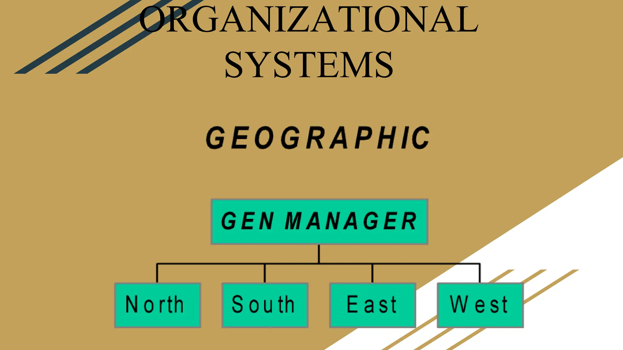 ORGANIZATIONAL
SYSTEMS
 