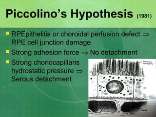 Piccolino’s Hypothesis (1981)
 RPEpithelitis or choroidal perfusion defect ⇒
RPE cell junction damage
 Strong adhesion force ⇒ No detachment
 Strong choriocapillaris
hydrostatic pressure ⇒
Serous detachment
 