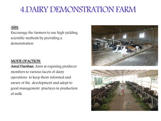 4.DAIRY DEMONSTRATION FARM
AIM:
Encourage the farmers to use high yielding
scientific methods by providing a
demonstration
MODE OFACTION:
Amul Darshan: Aims at exposing producer
members to various facets of dairy
operations to keep them informed and
aware of the development and adopt to
good management practices in production
of milk.
 