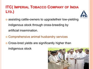 ITC( IMPERIAL TOBACCO COMPANY OF INDIA
LTD.)
 assisting cattle-owners to upgradetheir low-yielding
indigenous stock through cross-breeding by
artificial insemination.
 Comprehensive animal husbandry services
 Cross-bred yields are significantly higher than
indigenous stock
 