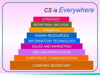 CORPORATE COMMUNICATION STRATEGY SECRETARIAL AND LEGAL FINANCIAL HUMAN RESOURCES INFORMATION TECHNOLOGY SALES AND MARKETING R&D AND PRODUCTION COMPANY SECRETARY CS is  Everywhere 