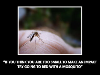 “IF YOU THINK YOU ARE TOO SMALL TO MAKE AN IMPACT TRY GOING TO BED WITH A MOSQUITO” 