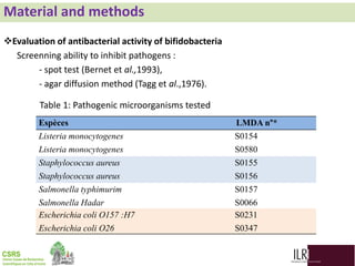 Biodiversity, phylogenetic relationship and antibacterial potential of Bifidobacterium species isolated from raw milk production chain in Abidjan, Côte d'Ivoire