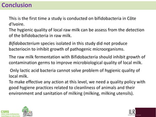 Biodiversity, phylogenetic relationship and antibacterial potential of Bifidobacterium species isolated from raw milk production chain in Abidjan, Côte d'Ivoire