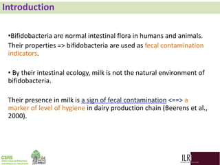 Biodiversity, phylogenetic relationship and antibacterial potential of Bifidobacterium species isolated from raw milk production chain in Abidjan, Côte d'Ivoire